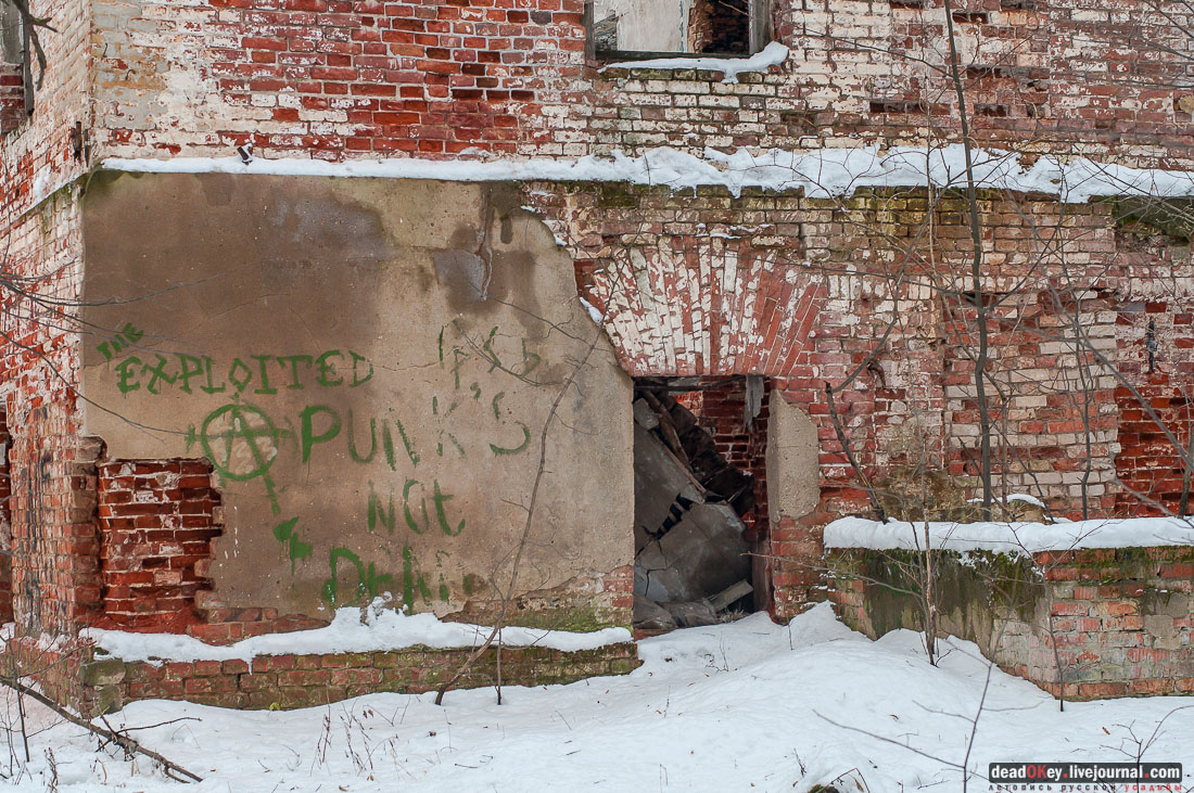 усадьба Гребнево, больничный комплекс