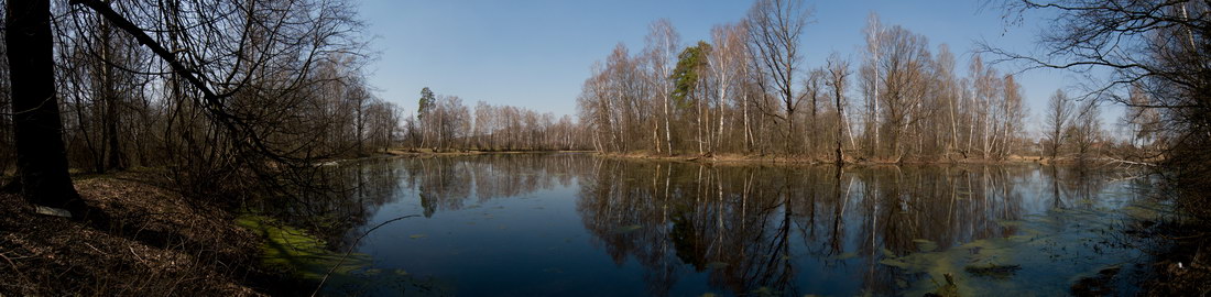 усадьба Савинское (исследование масонского парка)