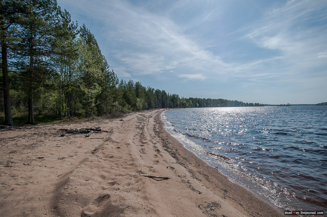 Россия, Карелия, Кондопожский район, Вендеры, Сяпчозеро, Спасская Губа