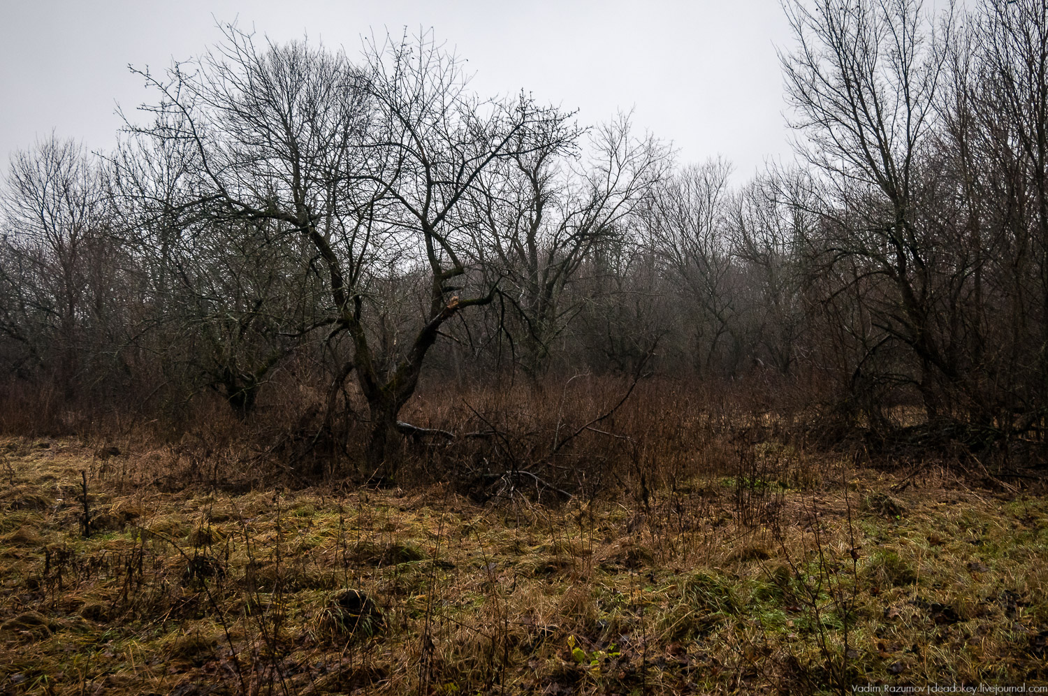 усадьба Пальна-Михайловка, аудиогид по усадбе, фото Вадим Разумов