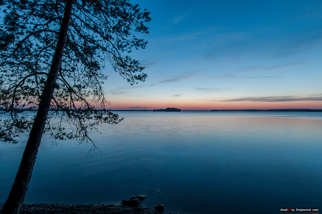 Россия, Карелия, Кондопожский район, Вендеры, Сяпчозеро, Спасская Губа