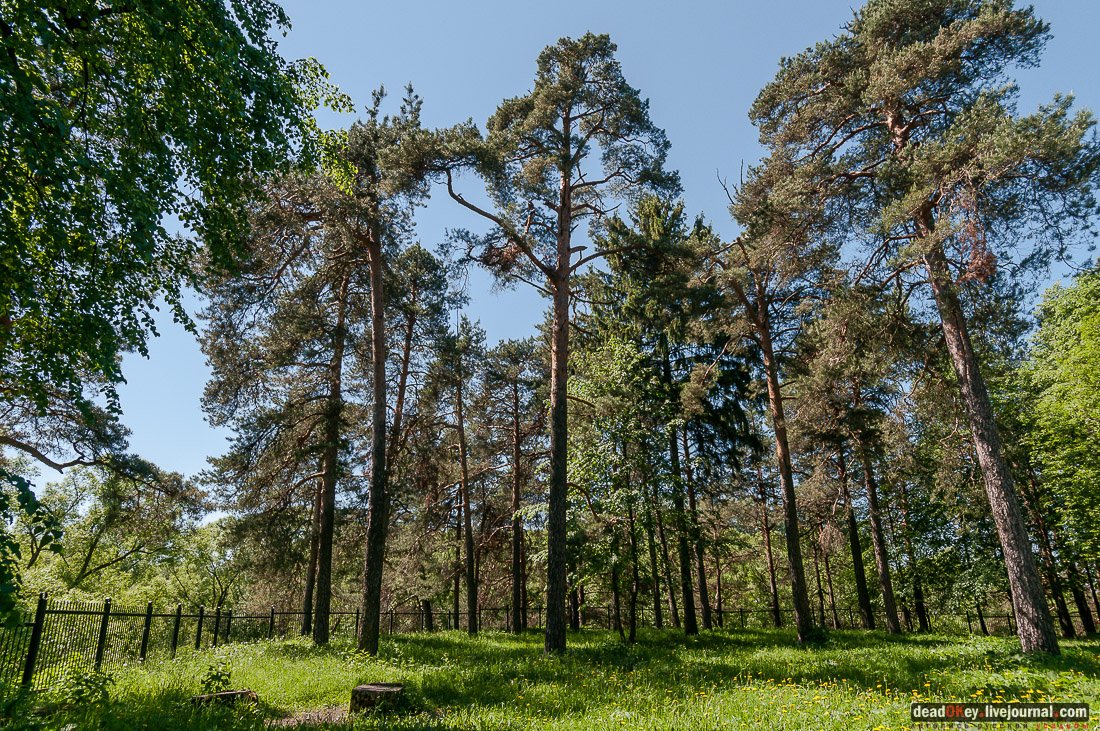 Гаврилов-Ям