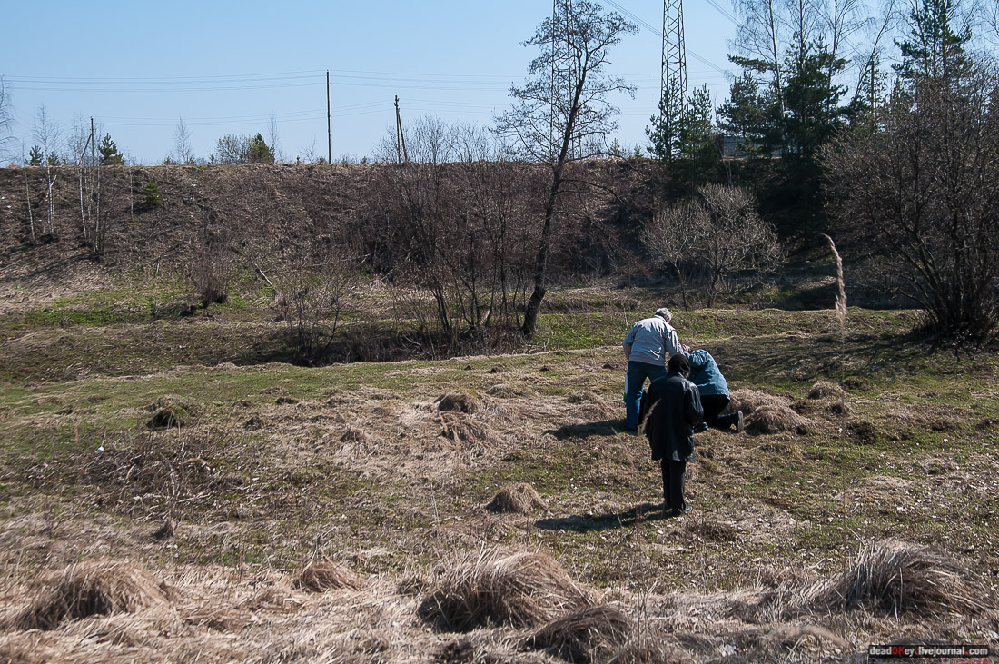 усадьба Савинское (исследование масонского парка)