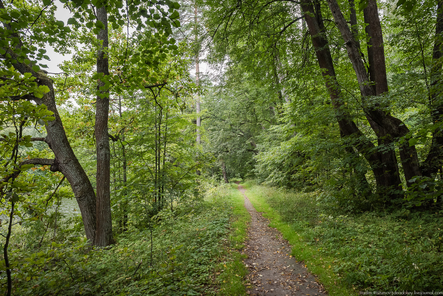усадьба Никольское-Обольяниново, Усадебные волонтеры, субботник 17 августа 2019 года