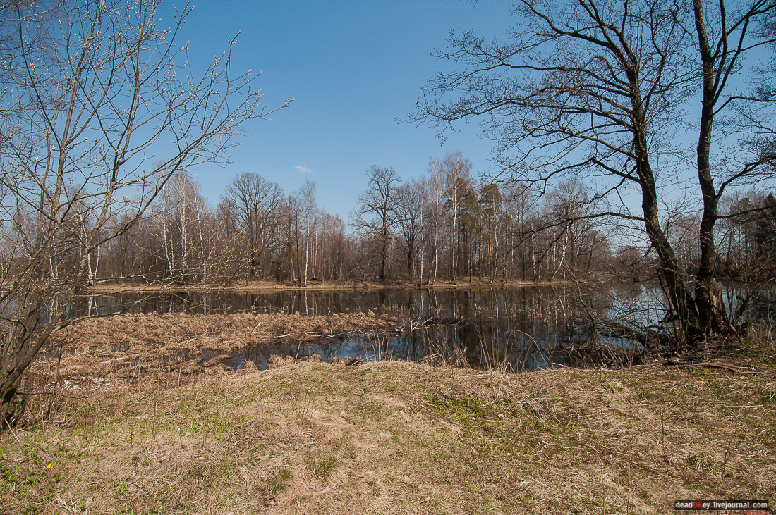 усадьба Савинское (исследование масонского парка)