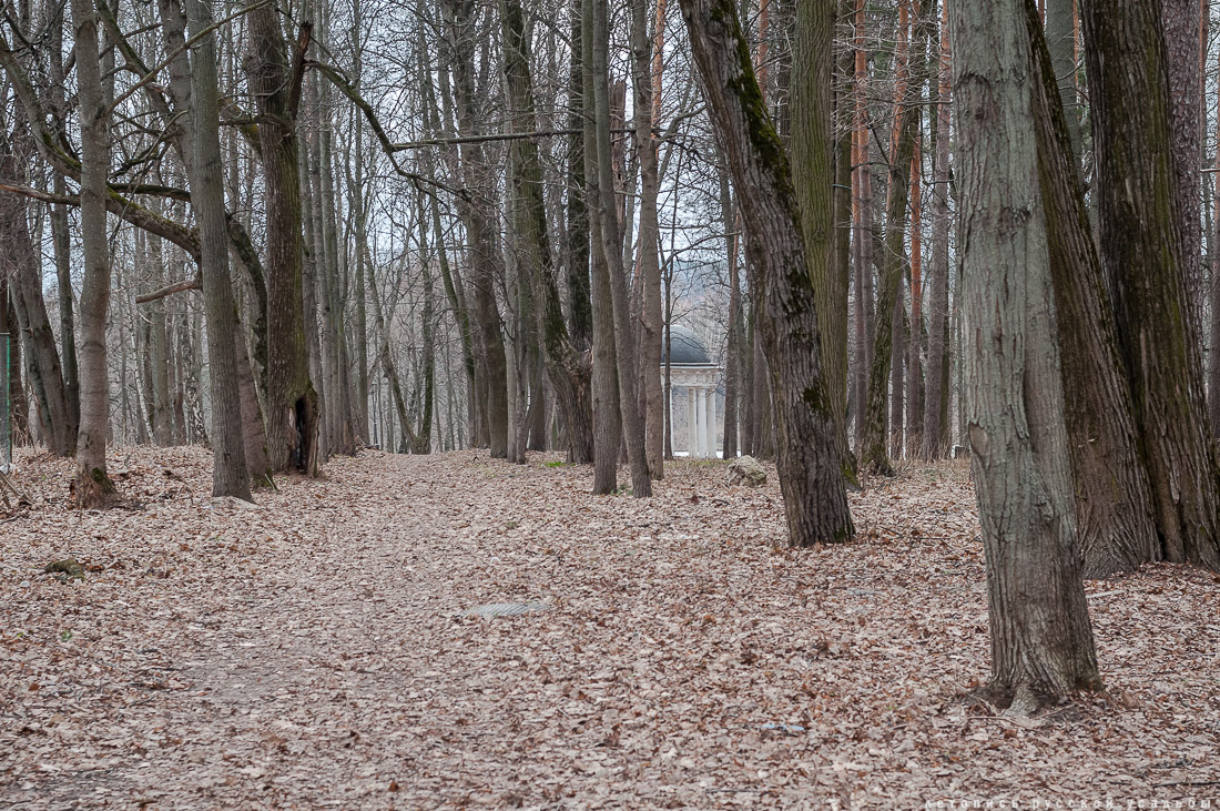 усадьба Суханово