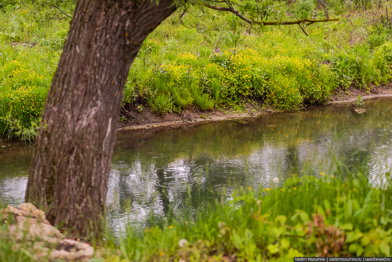 Архангельские Борки, Липецкая область, Липецкий район. Церковь Дмитрия Солунского