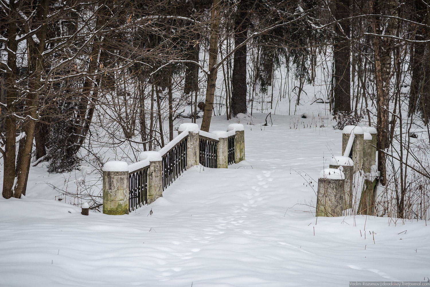 усадьба Знаменское-Садки