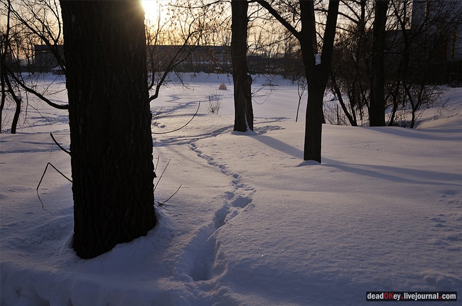 усадьба Белая Дача