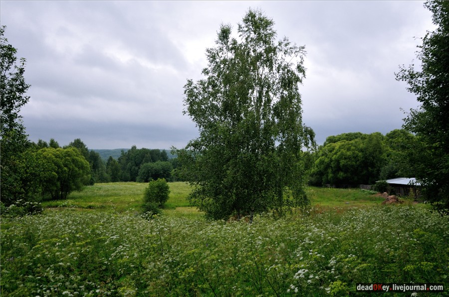 усадьба Фуникова Гора Прокудина-Горского