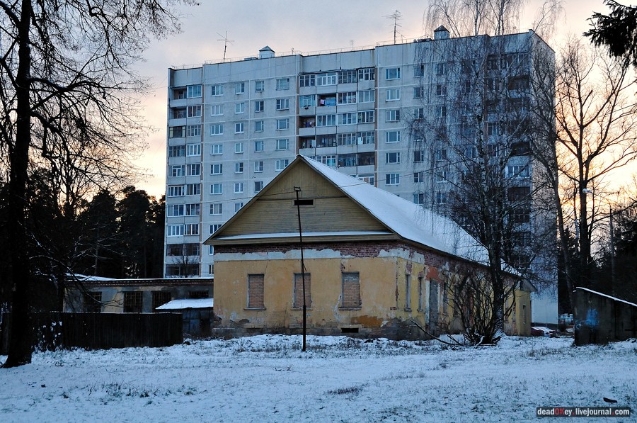 усадьба Медное-Власово