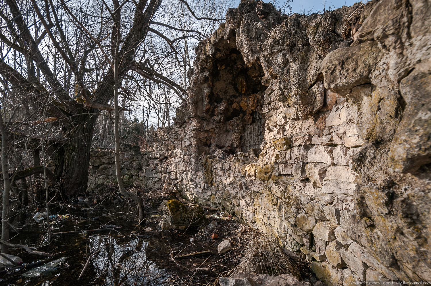 усадьба Соха