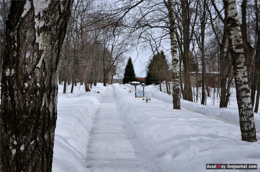 усадьба Райки