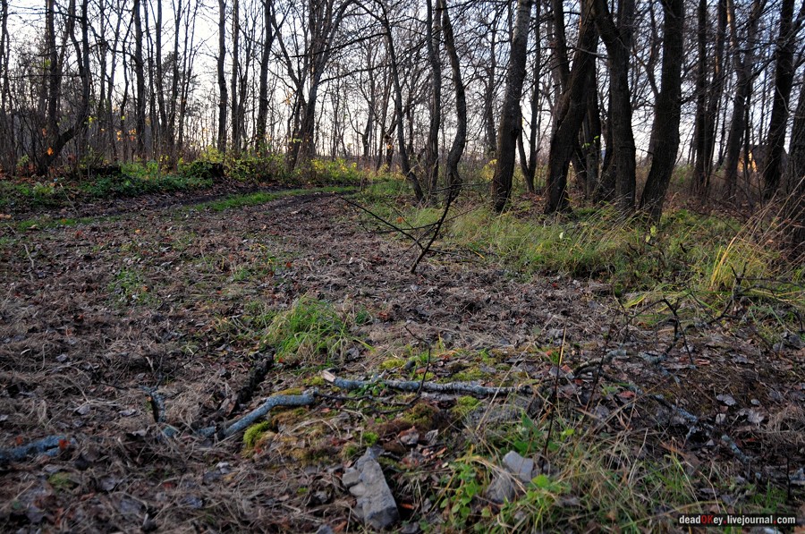 усадьба Бережки