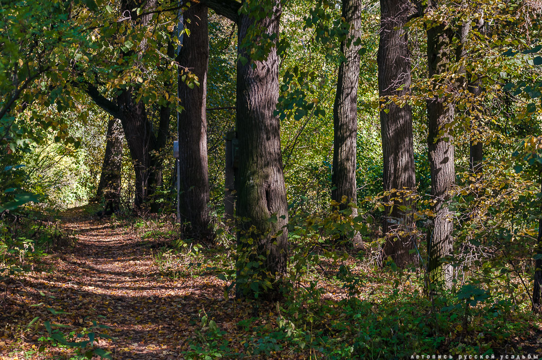 усадьба Быково, квест аудиогид