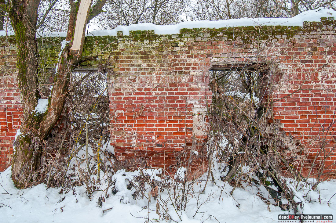 усадьба Гребнево, больничный комплекс