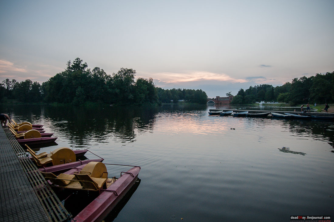 усадьба Марфино - грифонов покрасили