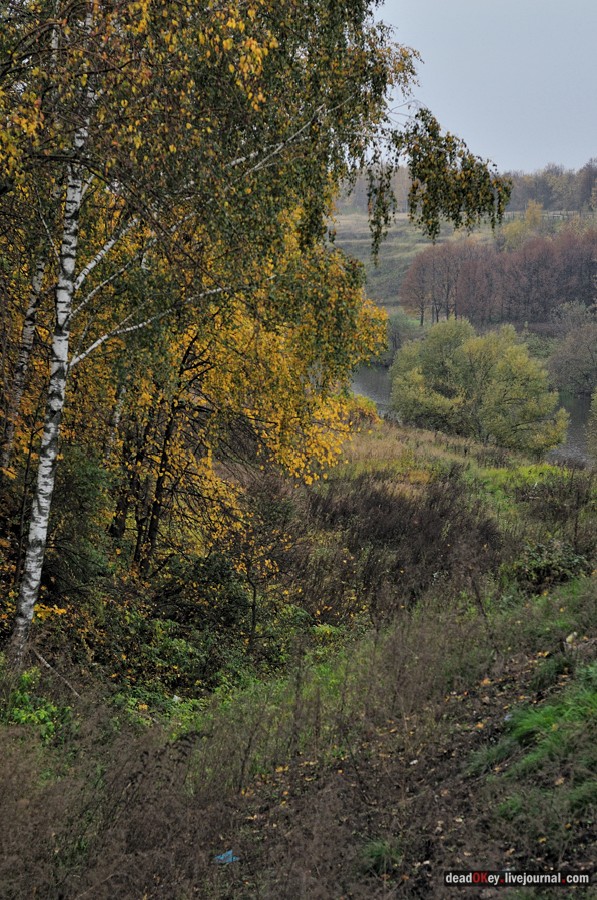 усадьба Богородской (пос. Володарского)