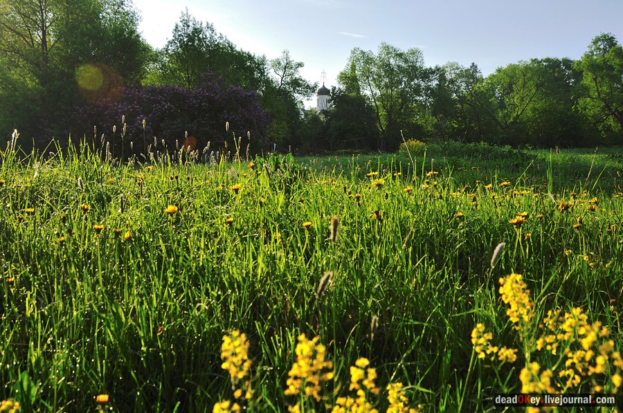 усадьба Прохорово