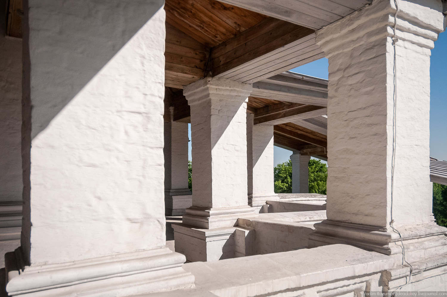 Коломенское в мае, цветы