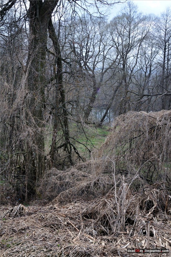 усадьба Городня