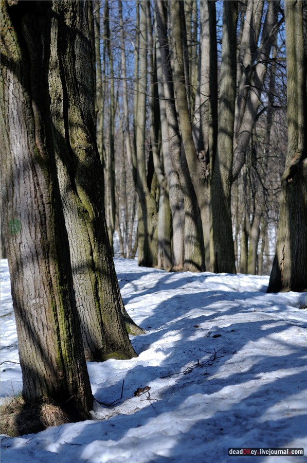 усадьба Узкое