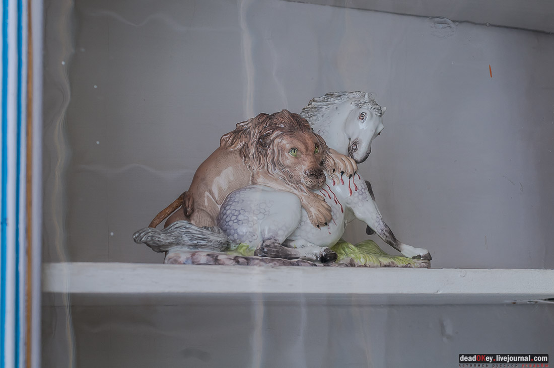 усадьба Кусково библиотека