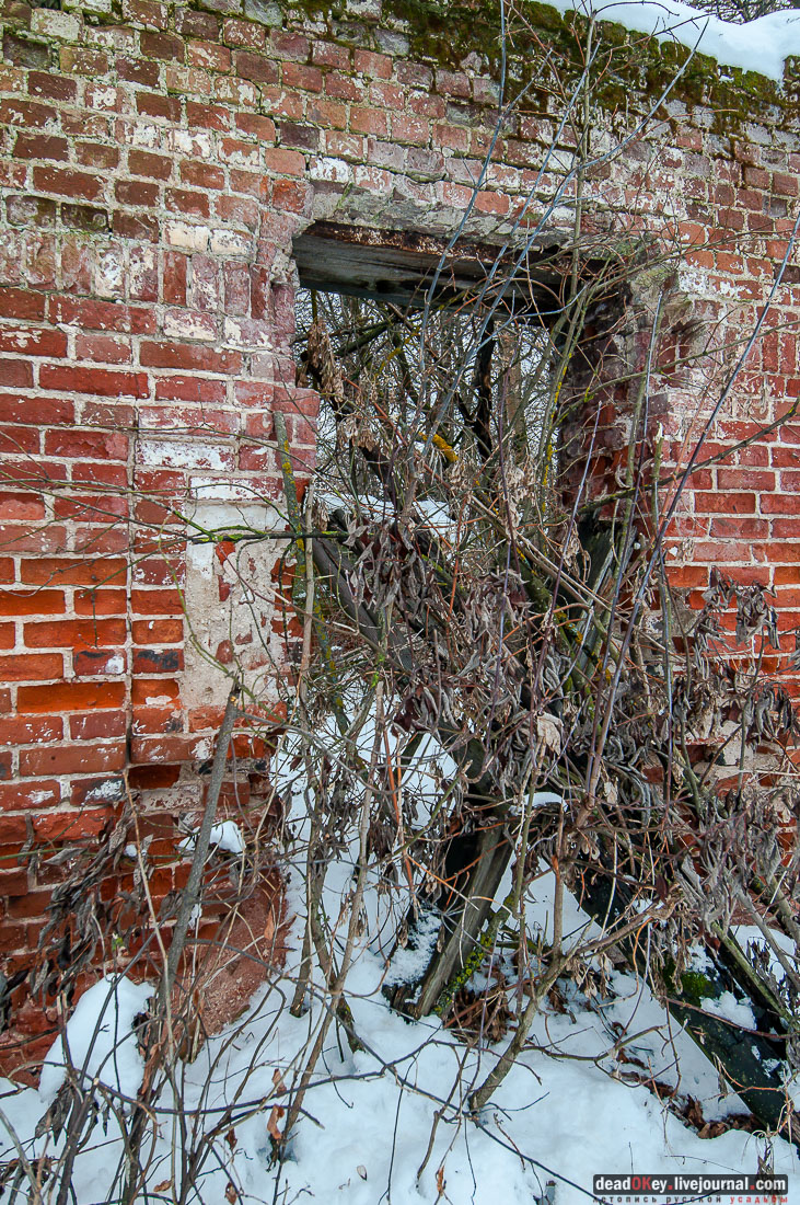 усадьба Гребнево, больничный комплекс