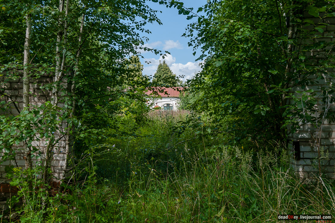 усадьба Баташевых, Гусь-Железный