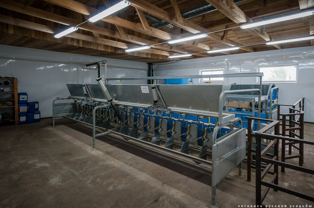 Экоэлектричка на родину журавлей в Талдомский район