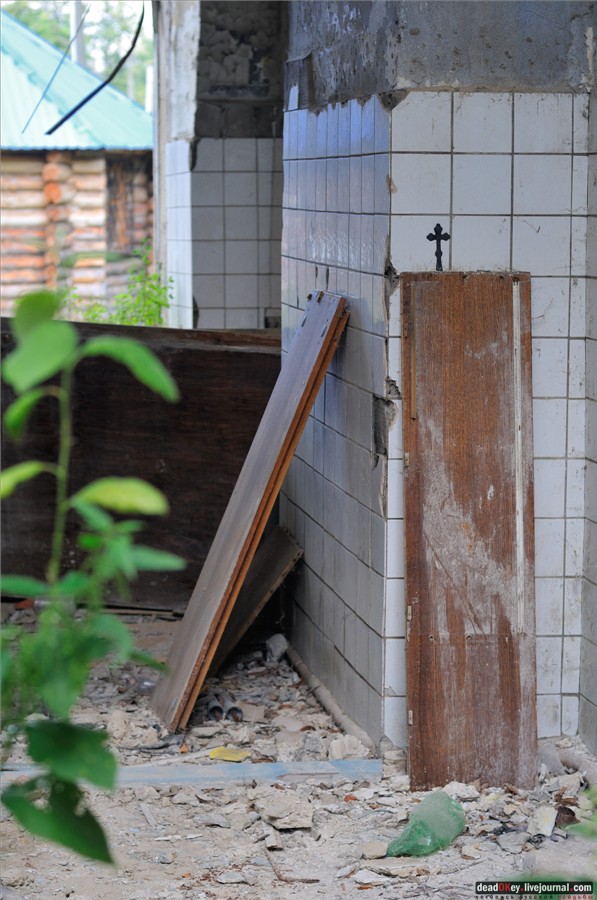 усадьба Глинки Якова Брюса (пансионат Монино)