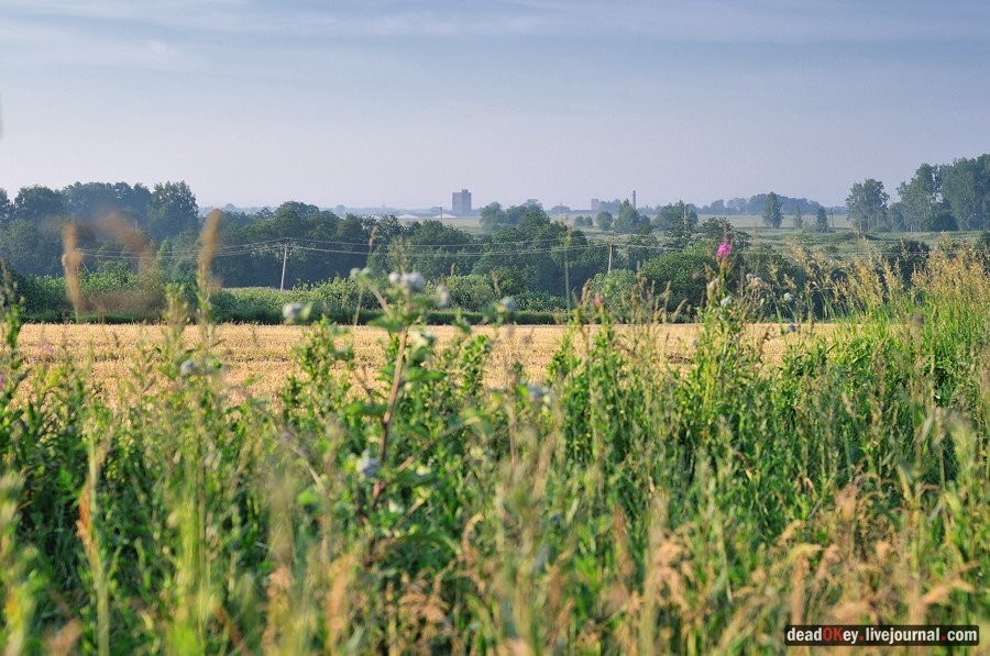 усадьба Клины