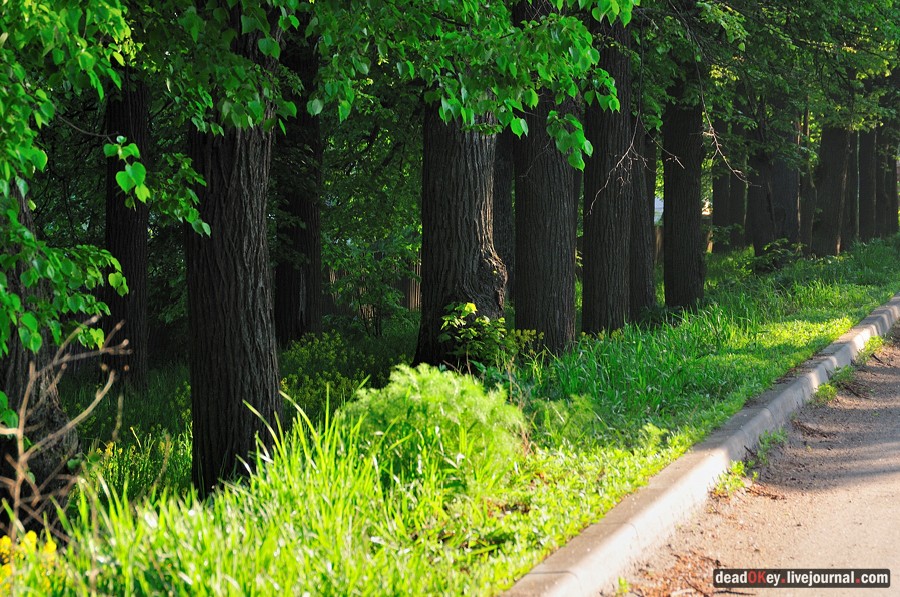 усадьба Прохорово