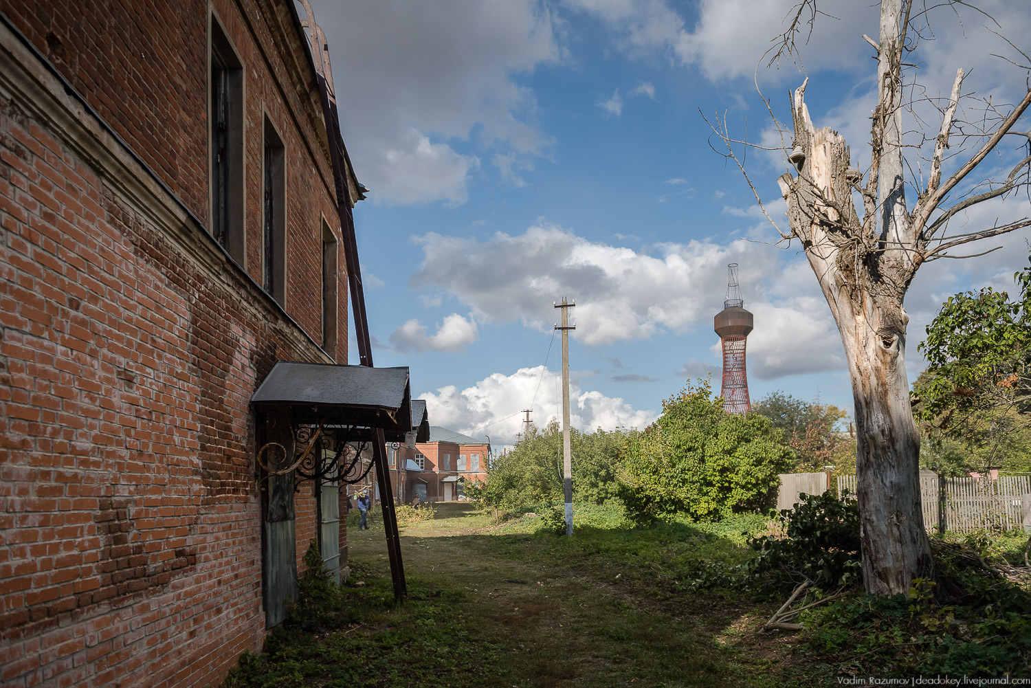усадьба Полибино, Липецкая область, Усадебные волонтеры 21 сентября 2019 года