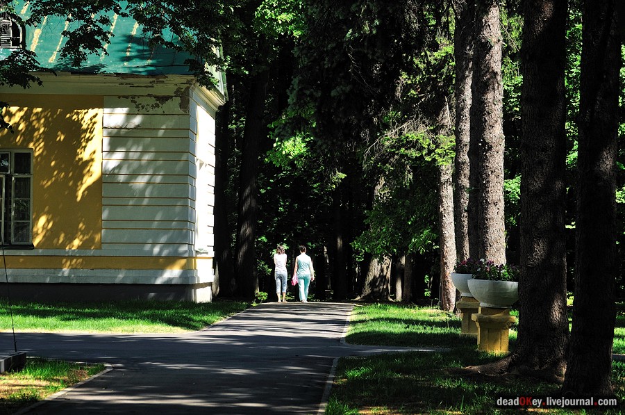 усадьба Братцево