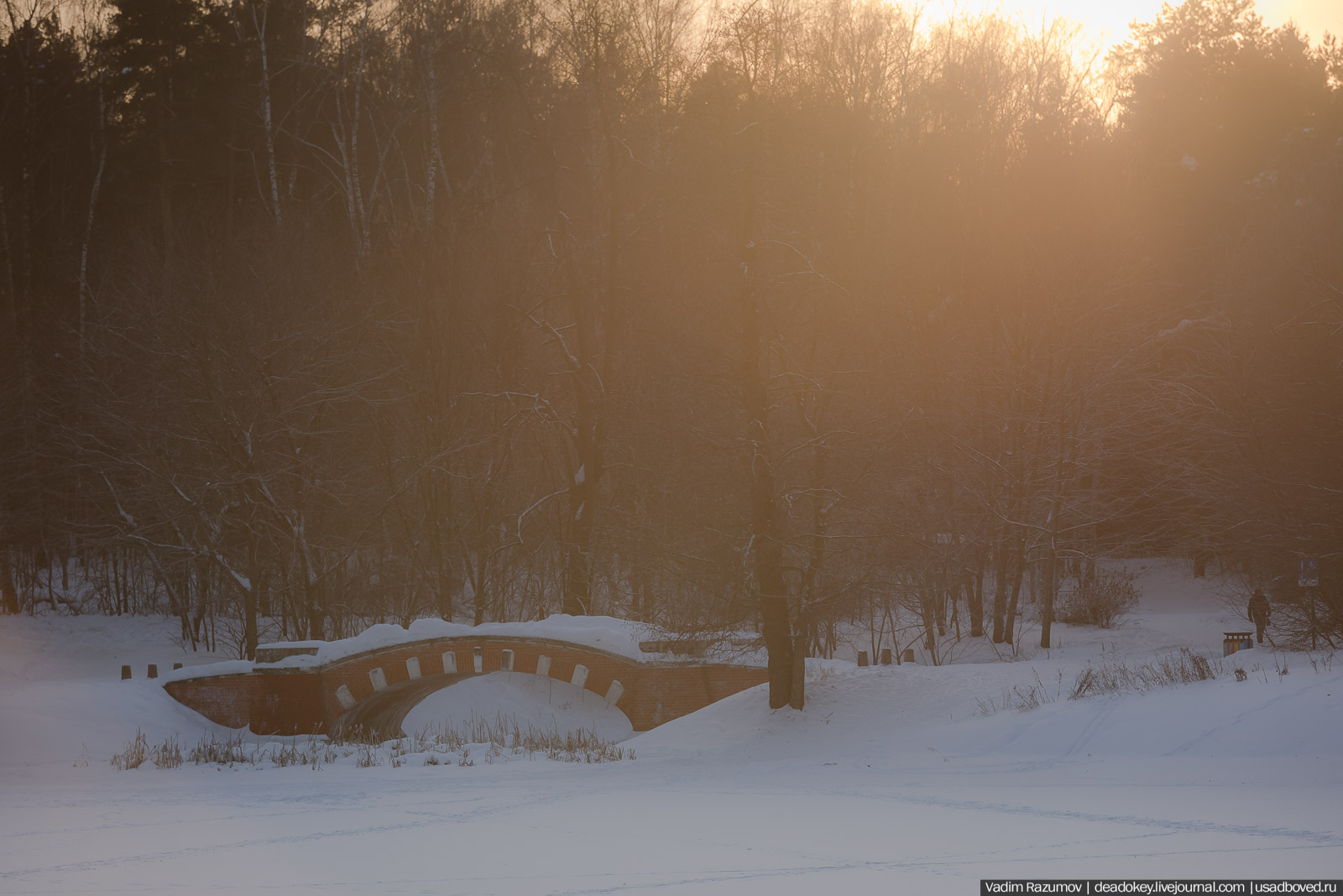 Усадьба Кузьминки, Москва, январь 2019 года