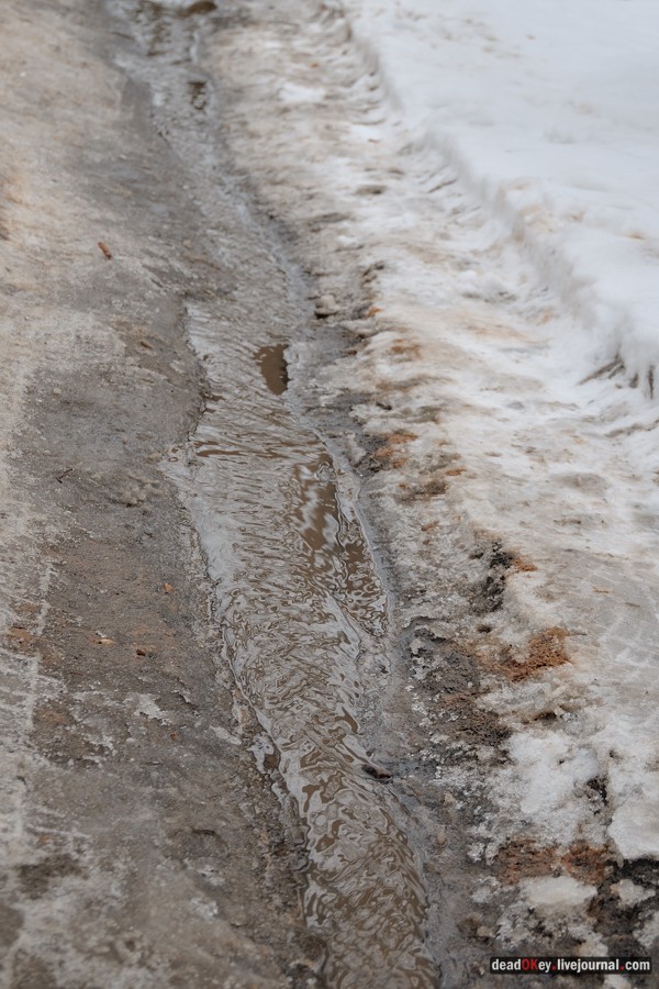 усадьба Старо-Никольское