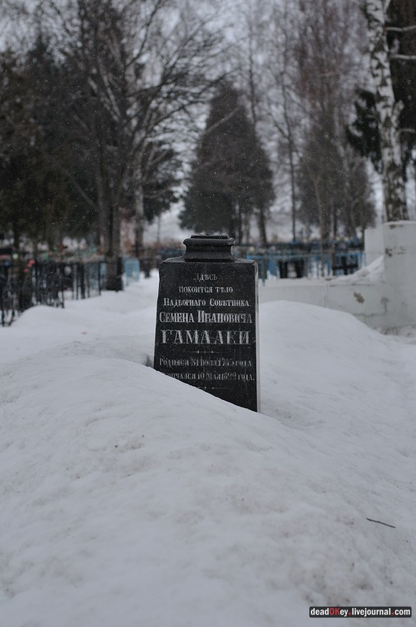 усадьба Авдотьино