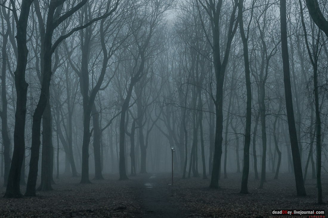 усадьба Асеевых, г. Тамбов, интерьеры главного дома