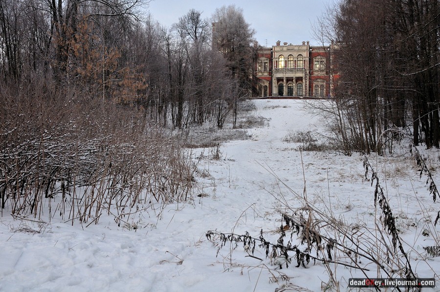 усадьба Быково