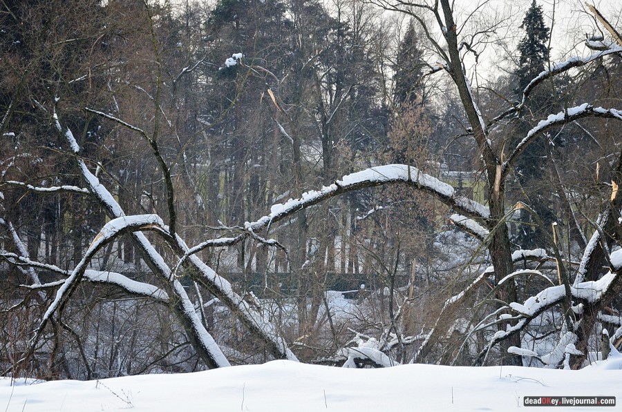 усадьба Котляково