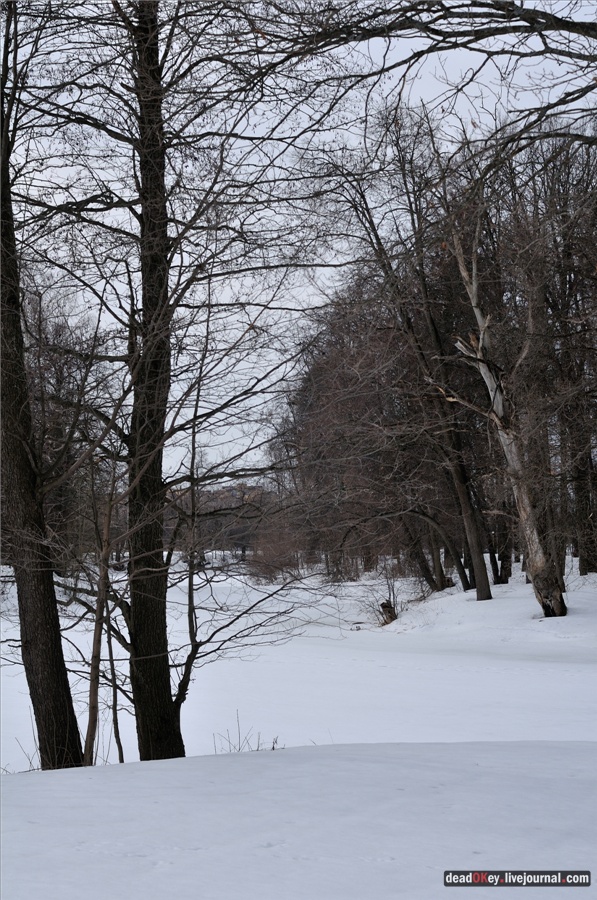 усадьба Райки