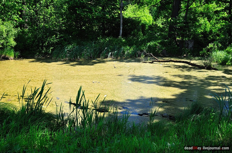 усадьба Братцево