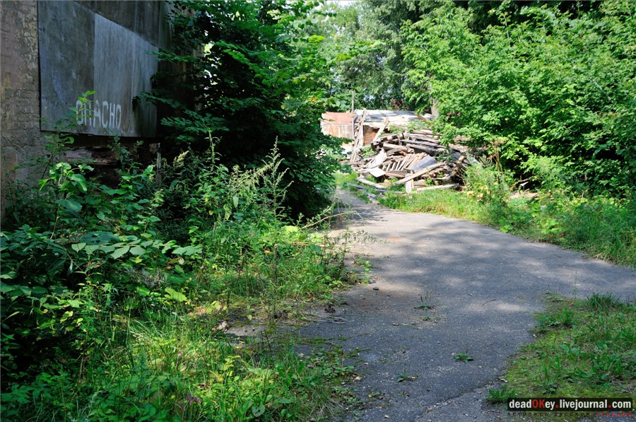 усадьба Глинки Якова Брюса (пансионат Монино)