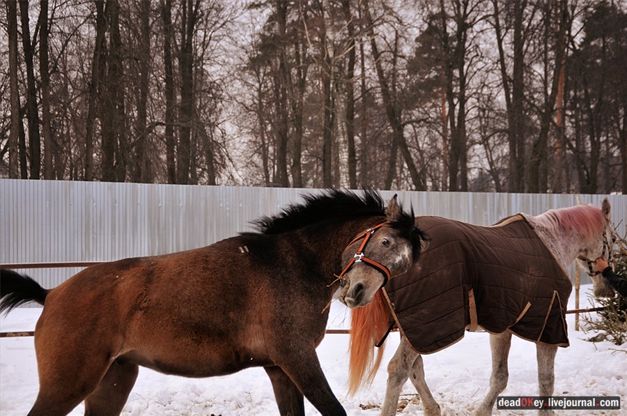 усадьба Успенское