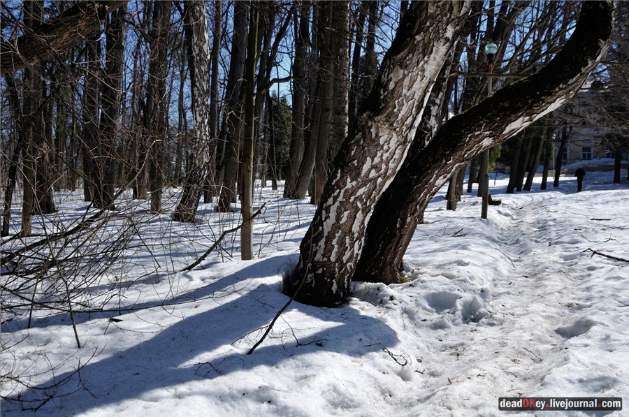 усадьба Узкое