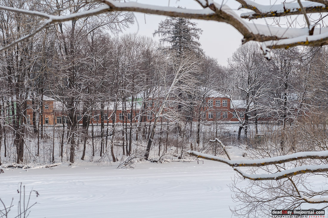 усадьба Васильевское-Скурыгино
