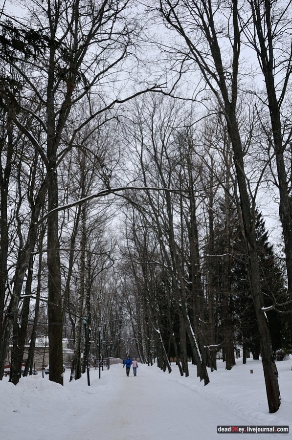 усадьба Остафьево