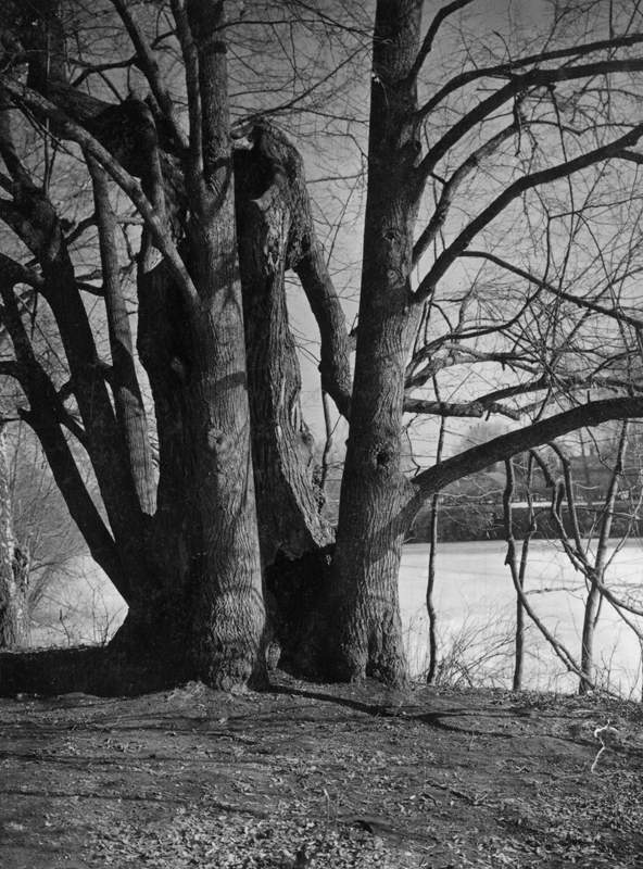 Усадьба Остафьево. Архивные фотографии