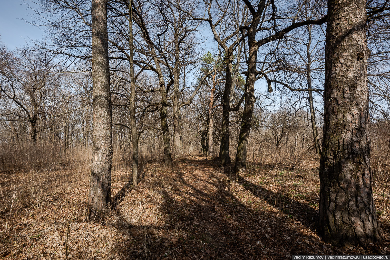 усадьба Шаталовка весной 2021 года, Липецкая область, Елец